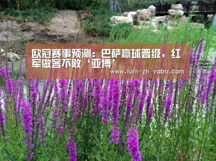 欧冠赛事预测：巴萨赢球晋级，红军做客不败‘亚博’