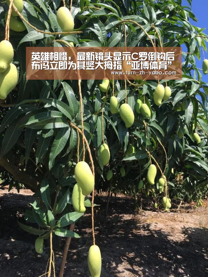 英雄相惜，最新镜头显示C罗倒钩后布冯立即为其竖大拇指“亚博体育”
